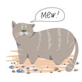 Fat grey cat meows. Royalty Free Stock Photo
